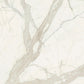 Graniti Fiandre Marble Active Calacatta