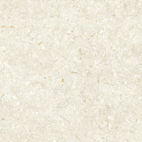 Grespania Fosil Bone