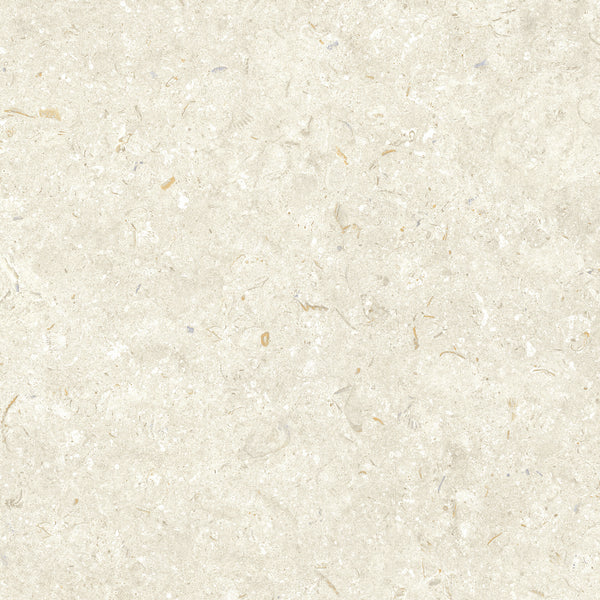 Grespania Fosil Bone