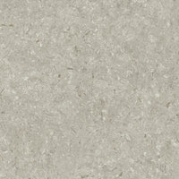 Grespania Fosil Gris