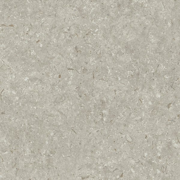 Grespania Fosil Gris