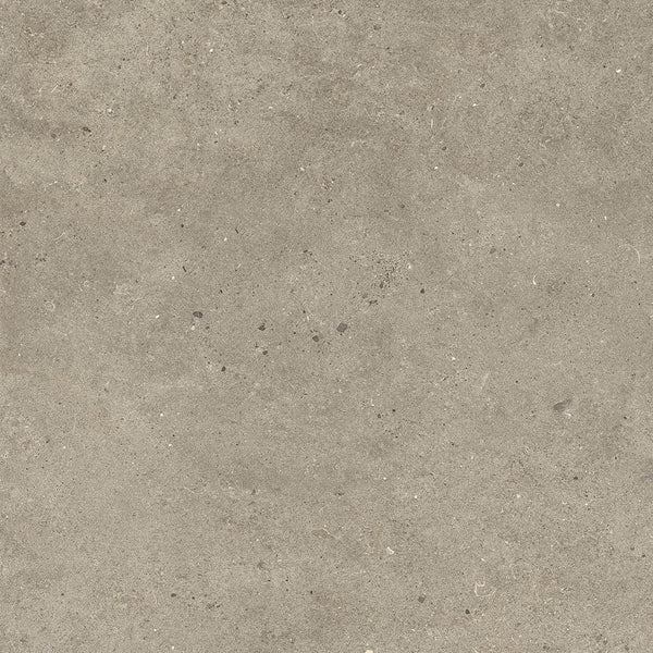 Italgraniti Silver Grain Taupe