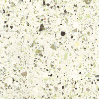 Iris Fmg Venice Villa Green
