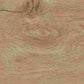 Love Tiles Native Tortora
