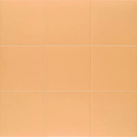 Mainzu Technical Tangerine