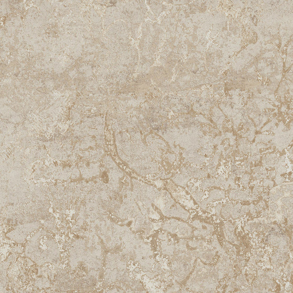 Naxos Bold Fairy Beige