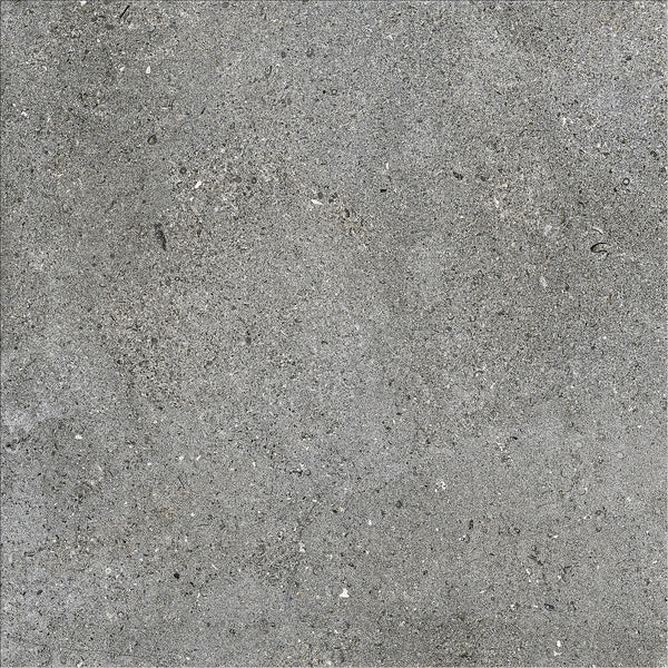 Ariostea Astra Full Body Fog