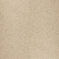 Ariostea Accademia Full Body Canaletto