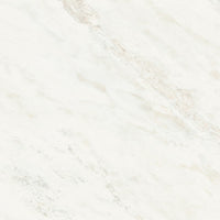 Iris Fmg Marmi Maxfine Rhyno