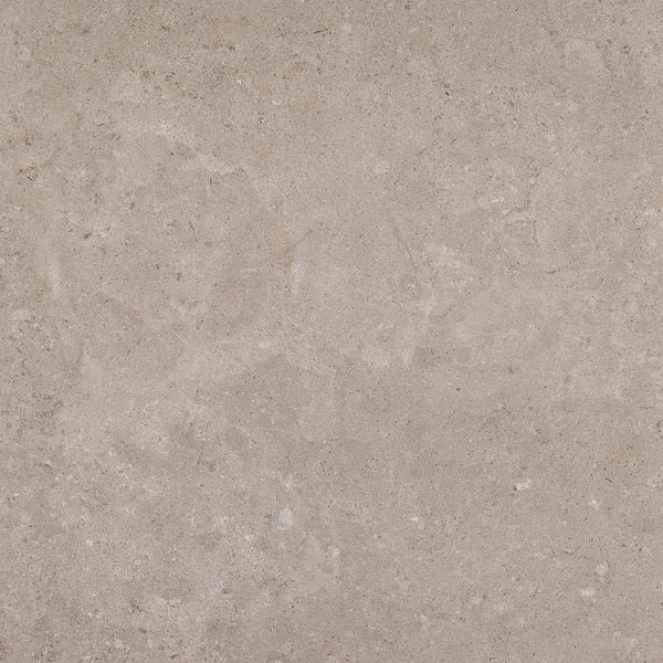 Pamesa Alba Stone Greige texture