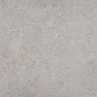 Pamesa Alba Stone Silver texture