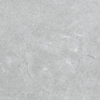 Pamesa Constanza Gray 017.077.0002.024948
