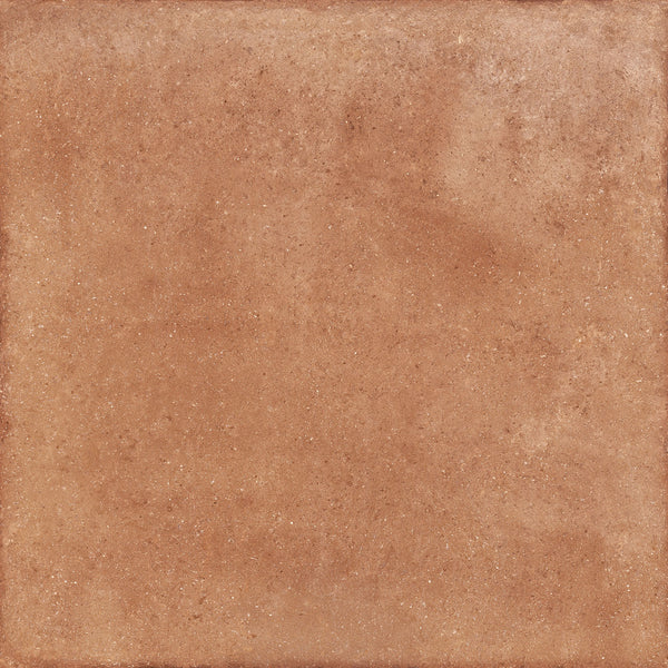 Pamesa Nature Coral
