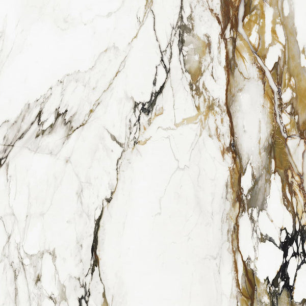 Porcelanosa Paonazzo Biondo