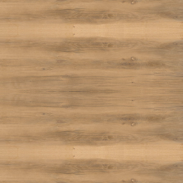 Provenza provoak quercia
