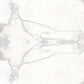 Provenza Unique Marble Calacatta Regale