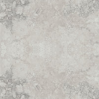 Provenza Unique Travertine ancient silver texture