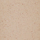 Ragno Galassia Canapa New