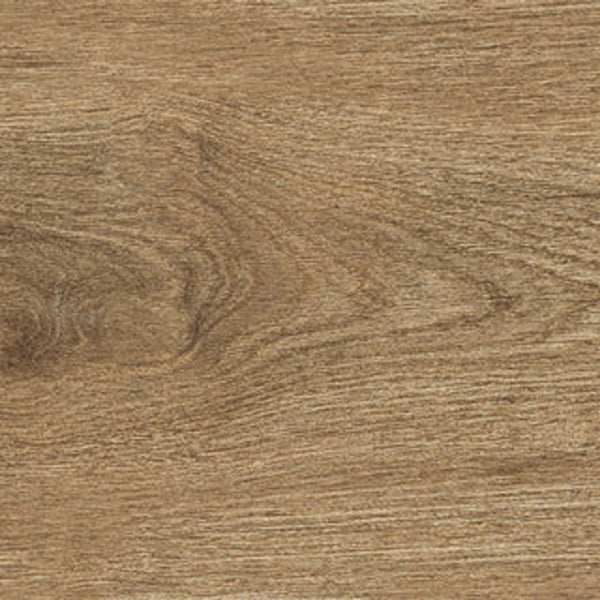 Ragno Ossimori Beige