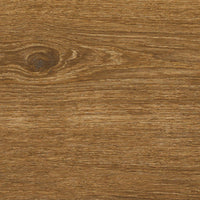 Ragno Ossimori Miele Extra