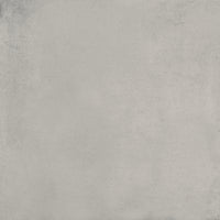 Ragno Replace Grigio C2 R10