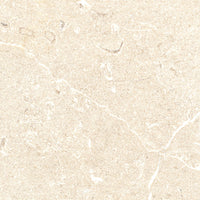 Ragno Viaggi Ivory