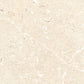 Ragno Viaggi Ivory