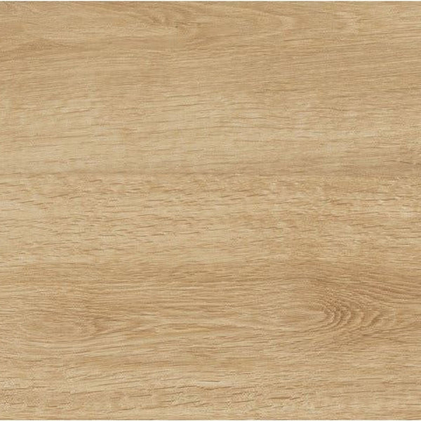 Ragno Woodtale Miele