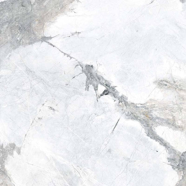 Rondine Invisible Ice Facccia A