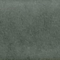 Terratinta Stick Lichen Green