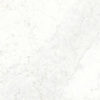 Ariostea Ultra Marmi Grey Marble
