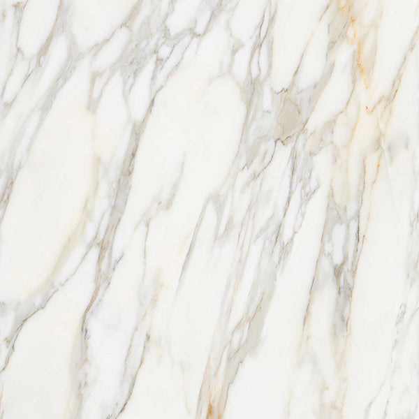 Apavisa Borghini White Pulido