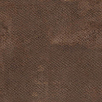 Apavisa Zinc Copper Skin